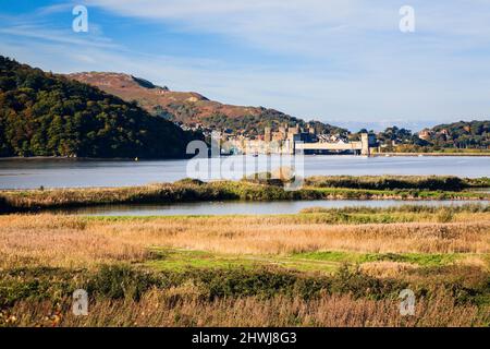 Conwy RSPB Reserve Küstenlagunen und Grasland Lebensraum neben Conwy River Mündung mit Conwy Castle und Brücke in der Ferne. Llansanffraid Wales Großbritannien Stockfoto