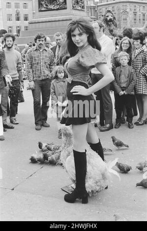 Die Schauspielerin und ehemalige Model Madeline Smith wurde vom Gesetz in Gesellschaft mit einem Dodo in einem Kinderwagen auf dem Trafalgar Square zwangsweise weiterbewegt. Sie wirbt für einen Verkauf seltener, gefüllter Naturkundemuster für einen Freund, der die British Natural History Company leitet. Hier ist sie mit Digby the Dodo auf dem Trafalgar Square abgebildet. 24.. September 1972. *** Ortsüberschrift *** Maddy Smith Stockfoto