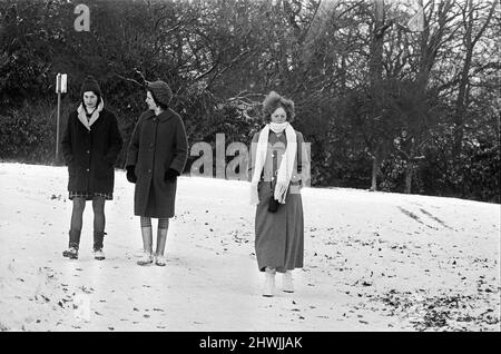 Schnee im Prospect Park, Reading. 9.. Januar 1971. Stockfoto