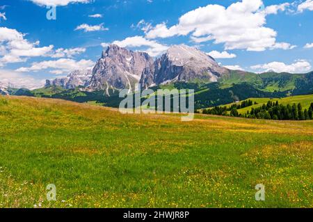 Sasso Lungo und Sasso Piatto, Seiser Alm, Südtirol, Italien Stockfoto