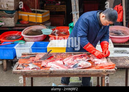 Fischhändler, der Fisch reinigt, zum Verkauf auf einem Markt in Jiashan, China Stockfoto