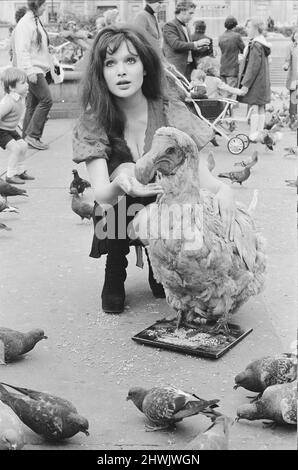 Die Schauspielerin und ehemalige Model Madeline Smith wurde vom Gesetz in Gesellschaft mit einem Dodo in einem Kinderwagen auf dem Trafalgar Square zwangsweise weiterbewegt. Sie wirbt für einen Verkauf seltener, gefüllter Naturkundemuster für einen Freund, der die British Natural History Company leitet. Hier ist sie mit Digby the Dodo auf dem Trafalgar Square abgebildet. 24.. September 1972. *** Ortsüberschrift *** Maddy Smith Stockfoto