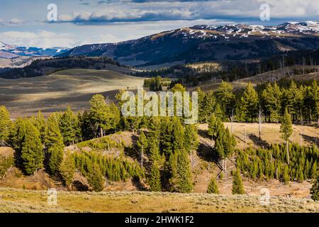 Dramatische Hügel und Berge im nordöstlichen Yellowstone-Nationalpark, Wyoming, USA Stockfoto