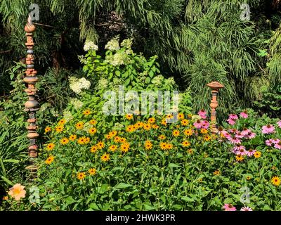 Schwarzäugige Susans mit Totems in Garden, Virginia, USA. Stockfoto