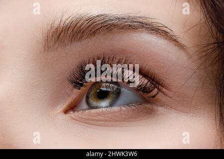 Nahaufnahme schönes Makro Frau Auge mit extrem langen gefälschten Wimpern. Stockfoto