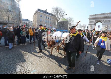 2000 SCHAFE AUF DEN CHAMPS ELYSEES Stockfoto