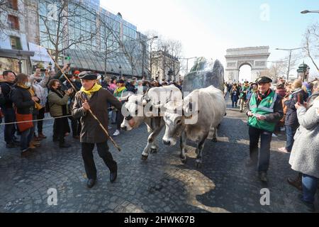 2000 SCHAFE AUF DEN CHAMPS ELYSEES Stockfoto