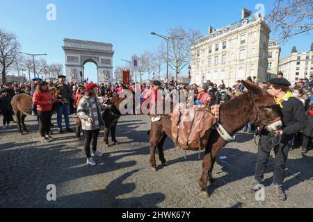 2000 SCHAFE AUF DEN CHAMPS ELYSEES Stockfoto