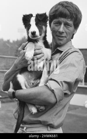 Blue Peter Moderator John Noakes, hier mit den Programmen New Border Collie Welpe zu sehen.die Zuschauer werden eingeladen, einen Namen zu schlagen, wenn die neue Serie von Blue Peter beginnt. Kinder, die eigene Hunde tun, werden viele Tipps, wie man nach einem neuen Welpen zu kümmern und zu trainieren. Es wird gehofft, dass die Tausenden von Kindern, die nicht in der Lage sind, Hunde zu halten fühlen, dass sie einen Anteil am neuen Welpen haben. 14.. September 1971 Stockfoto