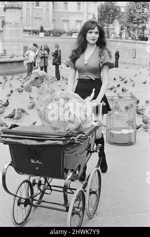 Die Schauspielerin und ehemalige Model Madeline Smith wurde vom Gesetz in Gesellschaft mit einem Dodo in einem Kinderwagen auf dem Trafalgar Square zwangsweise weiterbewegt. Sie wirbt für einen Verkauf seltener, gefüllter Naturkundemuster für einen Freund, der die British Natural History Company leitet. Hier ist sie mit Digby the Dodo auf dem Trafalgar Square abgebildet. 24.. September 1972. *** Ortsüberschrift *** Maddy Smith Stockfoto