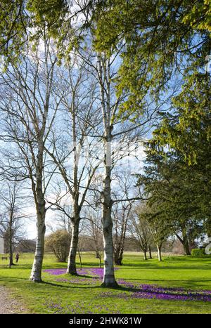 Trentham Gardens in Staffordshire Stockfoto