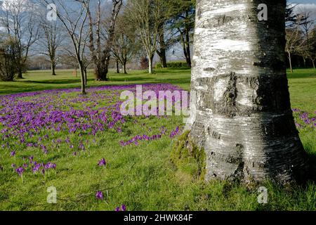 Trentham Gardens in Staffordshire Stockfoto