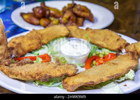 Miami Beach Florida, Collins Avenue, Puerto Sagua Cuban, Restaurant Essen Teller Gericht gebratener Fisch Filets Tartarsauce, innen Mittagessen Abendessen Stockfoto