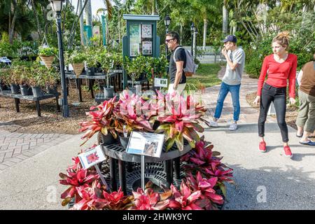 Fort Ft. Myers Florida, Thomas Edison und Henry Ford Winter Estates Museum, Pflanzen zeigen Verkauf Bromelien Gartengeschäft Stockfoto