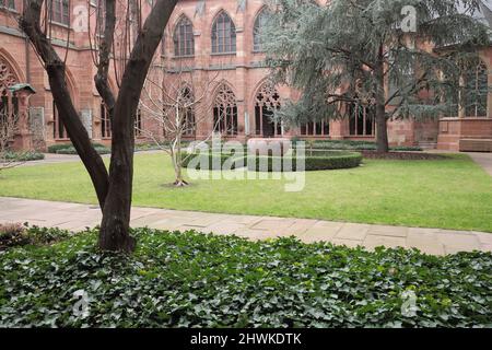 Innenhof mit Kreuzgang, St.-Martin-Dom, in Mainz, Rheinland-Pfalz, Deutschland Stockfoto