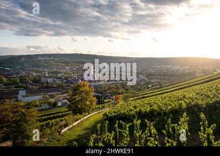 Blick vom Hügel bei Schloss Steinburg mit Weinberg im Vordergrund auf die Straßen von Würzburg mit der Festung Marienberg im Hintergrund Stockfoto