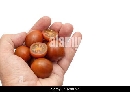 Eine offene Hand mit Kirschtomaten, die Mini-Kumato-Sorte. Isoliert auf weißem Hintergrund. Stockfoto
