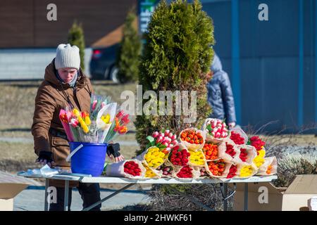 MINSK, WEISSRUSSLAND - 05. MÄRZ 2022: Eine Frau verkauft Blumen (Tulpen) auf der Straße. Der Internationale Frauentag ist der 8. März. Stockfoto