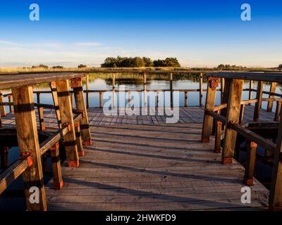 Hölzerne Fußgängerbrücke im Naturpark Las Tablas de Daimiel in Ciudad Real Stockfoto