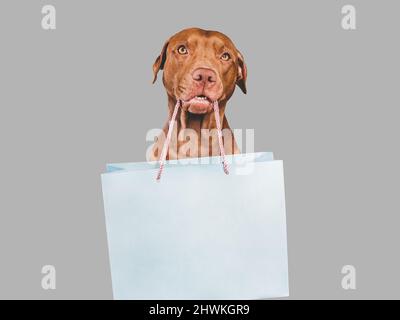 Liebenswerte, hübsche, braune Farbe und Einkaufstasche Stockfoto