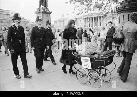 Die Schauspielerin und ehemalige Model Madeline Smith wurde vom Gesetz in Gesellschaft mit einem Dodo in einem Kinderwagen auf dem Trafalgar Square zwangsweise weiterbewegt. Sie wirbt für einen Verkauf seltener, gefüllter Naturkundemuster für einen Freund, der die British Natural History Company leitet. Hier ist sie mit Digby, dem Dodo auf dem Trafalgar Square, abgebildet, der von drei Polizisten eskortiert wird. 24.. September 1972. *** Ortsüberschrift *** Maddy Smith Stockfoto