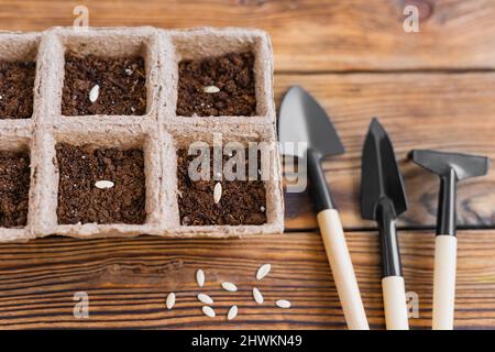 Pflanzen von Samen in Torftopf auf alten Grunge-Holztisch. Säen von Gurkensamen im Boden. Gartenarbeit im Haus. Draufsicht. Selektiver Fokus. Stockfoto