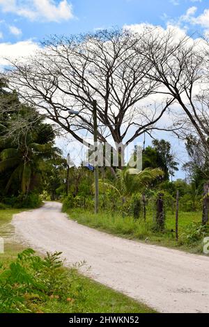 Eine Straße in Crooked Tree Village, Belize District, Belize. Stockfoto