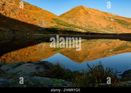 Spiegelung des Berges Turkul im Stausee des Sees Nesamovyte, des Sees Nesamovyte und des Berges Turkul, Herbstlandschaften der Karpaten, Morgen in der Stockfoto