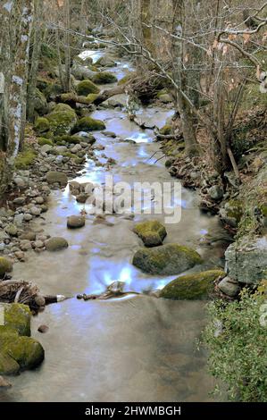 Balozano Fluss in Langzeitbelichtung Seide Wirkung im Herbst in Extremadura Stockfoto