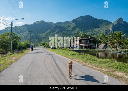 Hund und nicht erkennbarer Biker auf einer Straße in der Nähe von Sam ROI Yot im ländlichen Thailand südlich von Hua hin Stockfoto