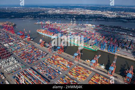 Hamburg, Deutschland. 05. März 2022. Die Luftaufnahme zeigt zahlreiche Container an den Containerterminals Eurogate (Front l) und Container Terminal Burchardkai (r) im Hamburger Hafen. Quelle: Daniel Reinhardt/dpa/Alamy Live News Stockfoto