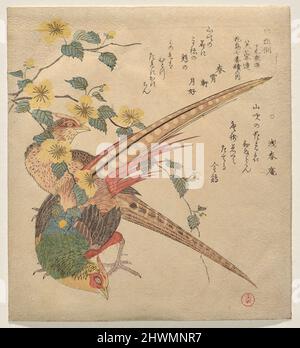 Ein Paar chinesischer Phasane und ein Zweig von Yamabuki-Blüten. Künstler: Kubo Shunman, Japanisch, 1757–1820 Stockfoto