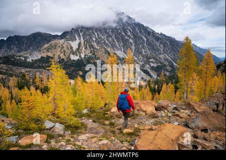 Weibliche Wanderungen in einem Lärchenbecken in der Wildnis der alpinen Seen Stockfoto