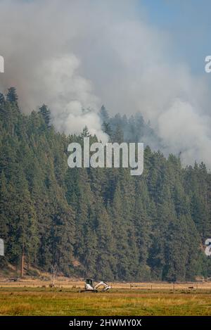 Rauch steigt aus einem Waldbrand in Oregon, der in einem Wald brennt Stockfoto