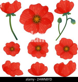 Set Vektor Clip Art große Blumen rot Mohnblume Stock Vektor