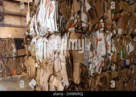 Flachnägel aus abgeflachten Karton in einer Recyclinganlage Stockfoto