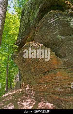 Wanderweg entlang dramatischer bewaldeter Felsvorsprünge im Cuyahoga Valley National Park in Ohio Stockfoto