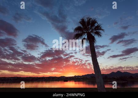 Farbenfrohe Sonnenuntergangshimmel- und Palmenform in Fountain Hills, Arizona Stockfoto
