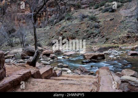 Blick auf Stufen zum Fluss im Zion Valley Stockfoto