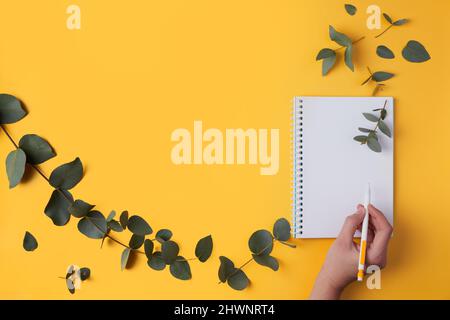 Eukalyptusblätter und ein Notizbuch, schreibt eine Frauenhand mit einem Stift. Gelber Hintergrund, Textbereich, Kopierbereich. Flach liegend.