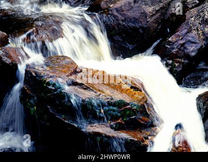 Schnell fließendes Wasser über Rocks, Tasmanien, Australien Stockfoto