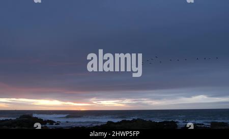 Felsige, zerklüftete pazifikküste, Meereswellen, die auf Felsen krachen, 17 Meilen Fahrt, Monterey California USA. Dramatische Sonnenuntergangs Himmel Natur in der Nähe von Point Lobos, Big Sur, Kieselstrand. Vogelschar fliegt. Stockfoto