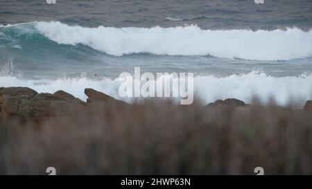 Felsige, zerklüftete pazifikküste, Meereswelle stürzt auf Felsen, 17 Meilen Fahrt, Monterey, Kalifornien, USA. Dramatische Natur in der Nähe von Point Lobos, Big Sur, Kiesstrand. Vögel fliegen. Nahtloser Cinemagraph mit Schleife Stockfoto