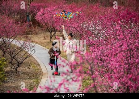 Huaibei, Chinas Provinz Anhui. 6. März 2022. Die Menschen genießen den Frühling in Huaibei, der ostchinesischen Provinz Anhui, 6. März 2022. Quelle: Wang Wen/Xinhua/Alamy Live News Stockfoto