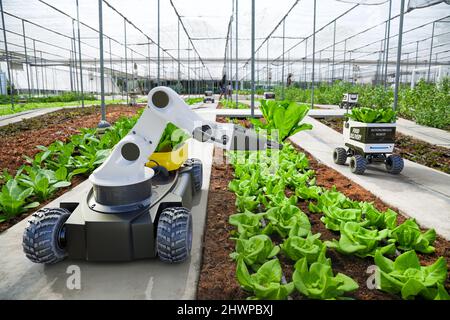 Landwirtschaft Roboter und autonomes Auto arbeiten in Smart Farm, Future 5G Technologie mit Smart Agriculture Farming Konzept Stockfoto
