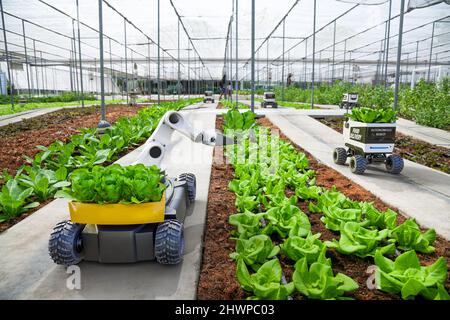 Landwirtschaft Roboter und autonomes Auto arbeiten in Smart Farm, Future 5G Technologie mit Smart Agriculture Farming Konzept Stockfoto