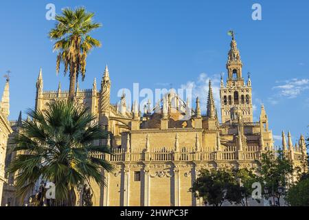 Sevillas Kathedrale mit der Giralda, vom Triumph-Platz aus gesehen Stockfoto