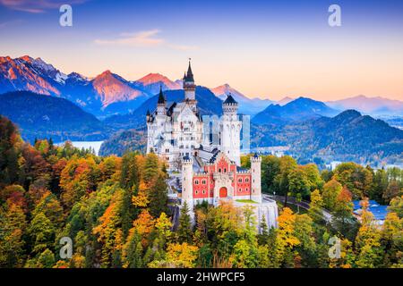 Schloss Neuschwanstein (Schloss Neuschwanstein) Bayern. Fussen, Deutschland. Vorderansicht des Schlosses bei Sonnenaufgang. Die bayerischen Alpen im Hintergrund. Stockfoto