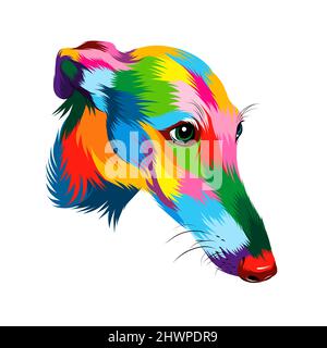 Abstraktes Windhundhundkopfporträt aus bunten Farben. Welpe Schnauze Porträt, Hund Schnauze. Farbige Zeichnung. Vektordarstellung von Farben Stock Vektor