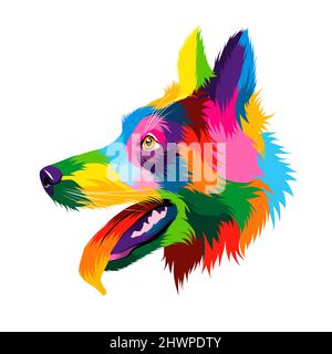 Abstraktes deutsches Schäferhund-Kopfporträt aus bunten Farben. Farbige Zeichnung. Vektordarstellung von Farben Stock Vektor